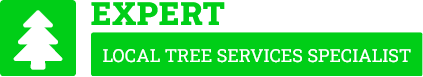 Kapiti Coast Tree Removal - Tree Removal Kapiti Coast